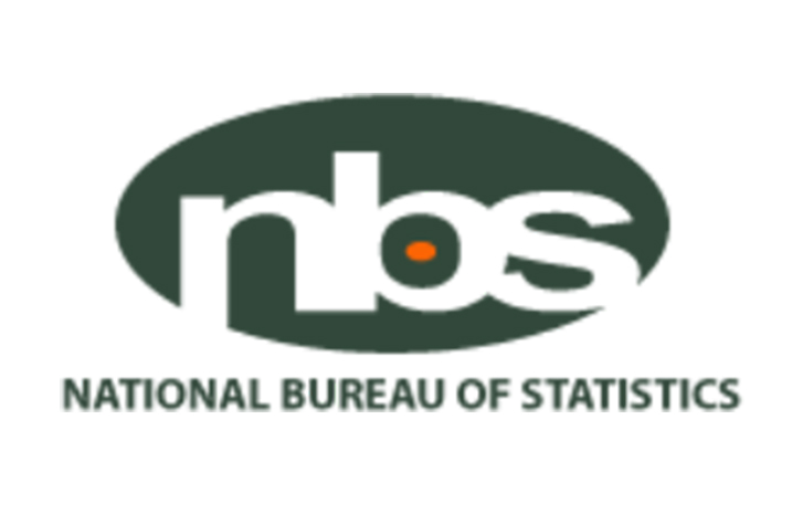 NBS to embark on national economic census after 20 years