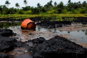 Senate charge HYPREP on faster work pace on Ogoni cleanup