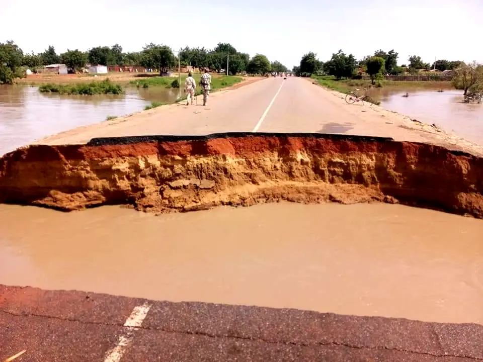 Katarko Bridge collapses, disconnects Borno, Yobe, Gombe motorists